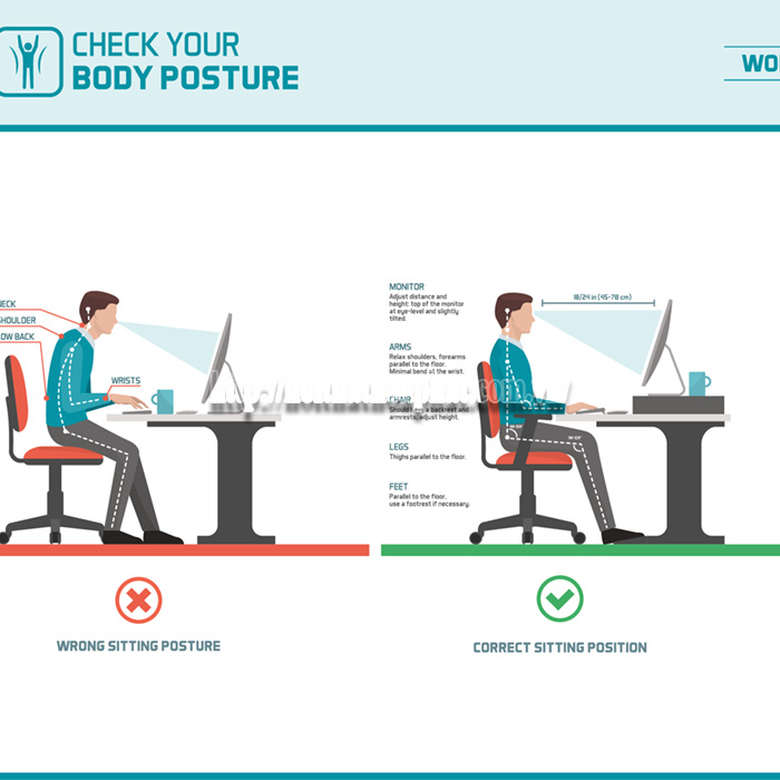 Cách Chỉnh Độ Cao Ghế Văn Phòng Đúng Chuẩn Giúp Ngồi Thoải Mái-2