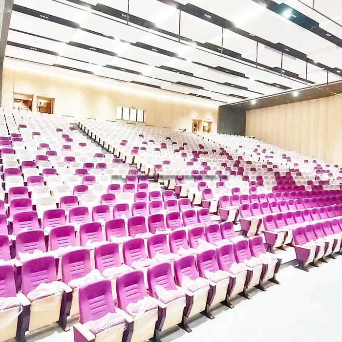 Công Ty Nào Chuyên Phân Phối Ghế Hội Trường-3