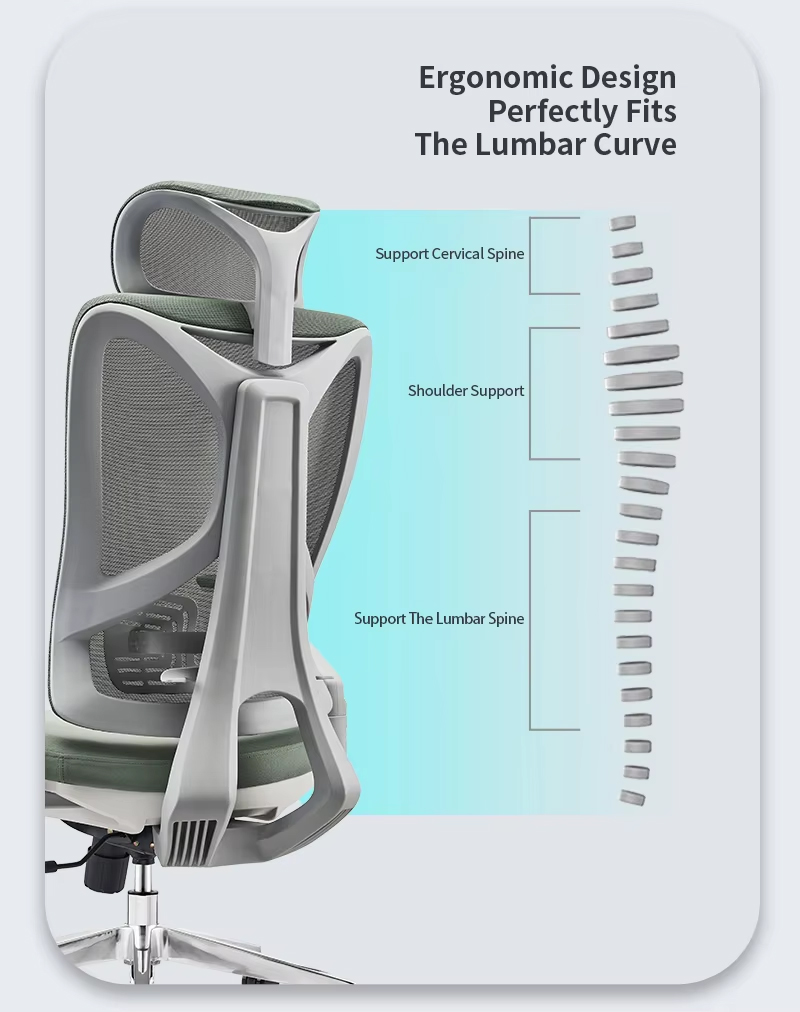 Ghế Ergonomic Có Khác Gì Ghế Thường?