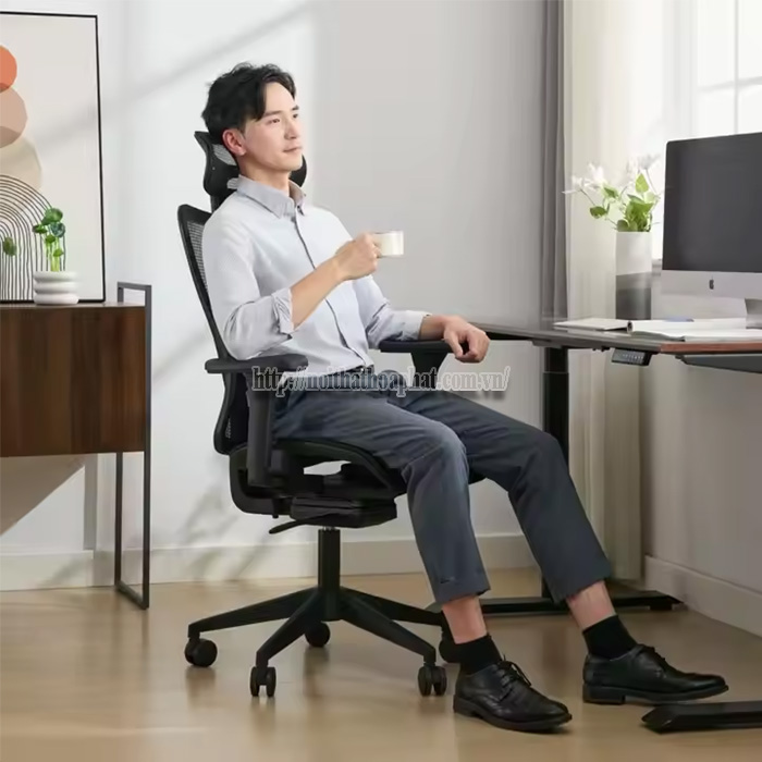 Ghế Công Thái Học Ergonomic Hà Nội-5