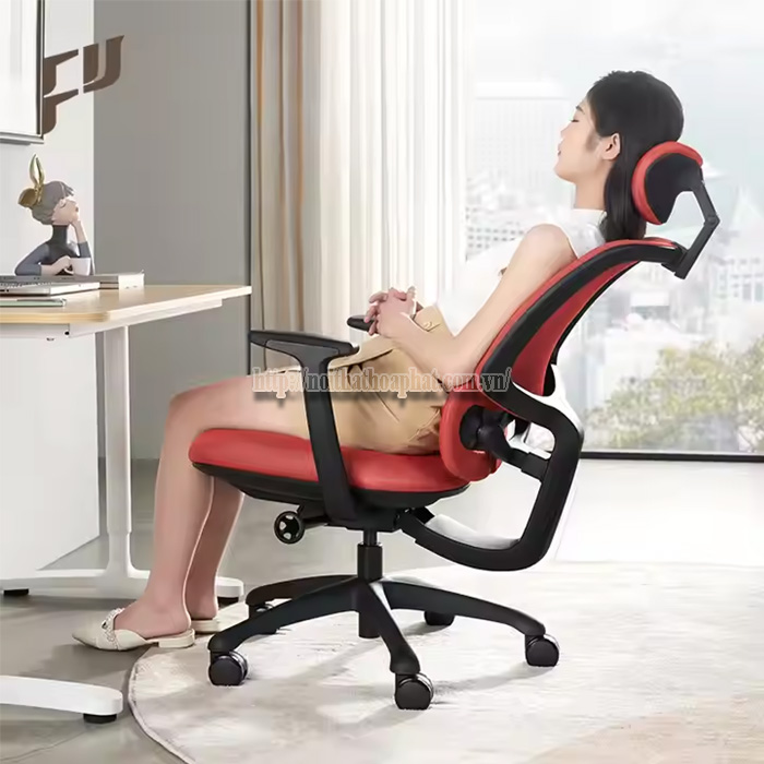 Ghế Công Thái Học Ergonomic Hà Nội