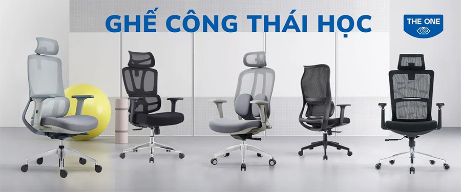 Ghế Công Thái Học Là Gì? Lợi Ích, Cấu Tạo & Cách Chọn Ghế Chuẩn Nhất Ghế Công Thái Học Là Gì? Lợi Ích, Cấu Tạo & Cách Chọn Ghế Chuẩn Nhất
