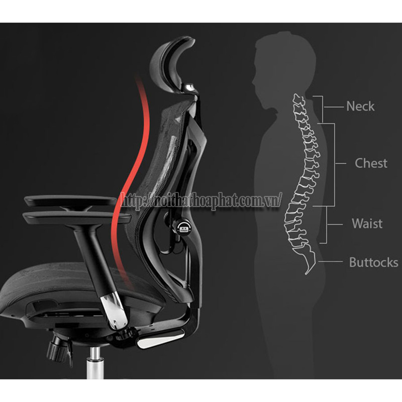 Lợi Ích Của Ghế Văn Phòng Công Thái Học – Vì Sao Nên Sử Dụng?-1