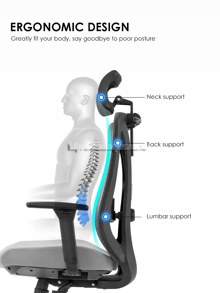 Lợi Ích Của Ghế Văn Phòng Công Thái Học – Vì Sao Nên Sử Dụng?-3