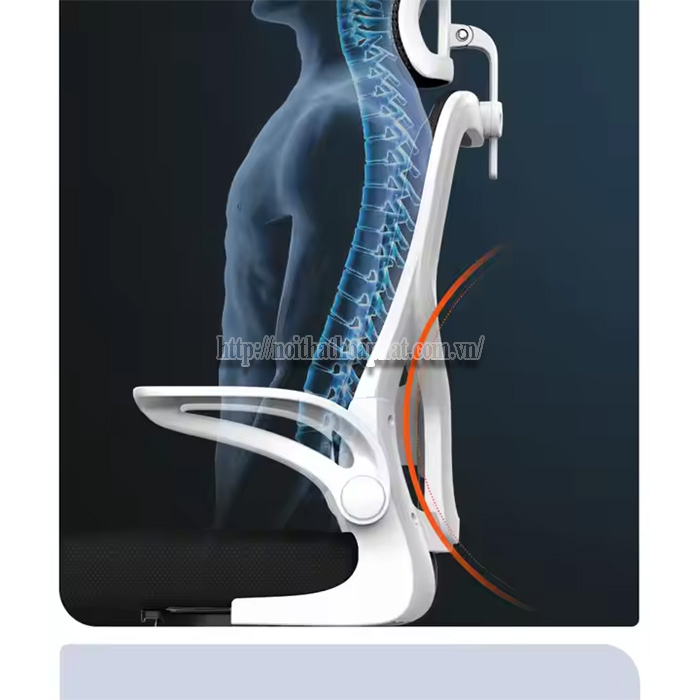 Review Ghế Văn Phòng Nhập Khẩu Cao Cấp Review Ghế Văn Phòng Nhập Khẩu Cao Cấp