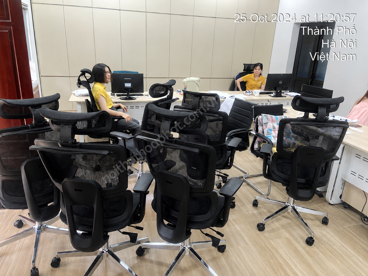 H&igrave;nh ảnh thực tế Ghế c&ocirc;ng th&aacute;i học H&ograve;a Ph&aacute;t GLE03