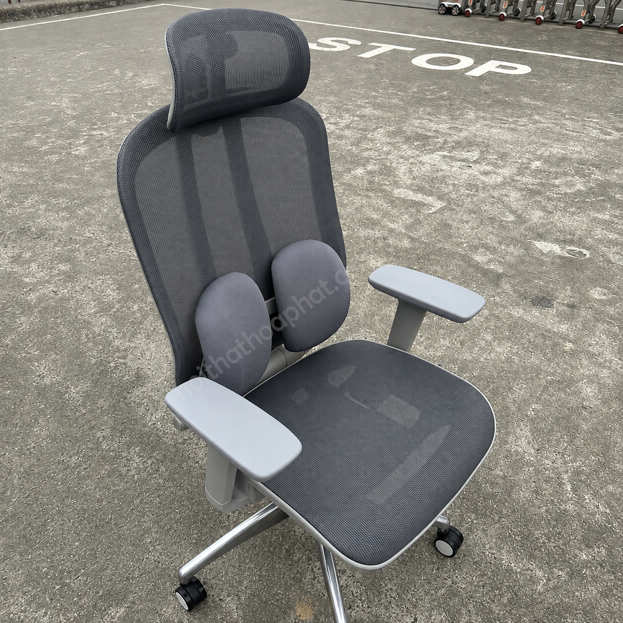 Ghế Công Thái Học GLE04-1 – Hình Ảnh Thực Tế Chi Tiết
