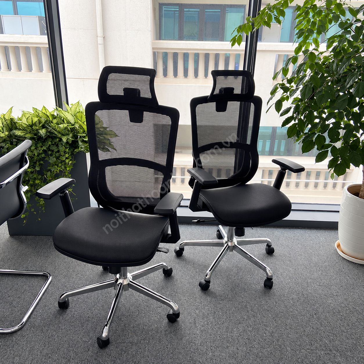 Ghế c&ocirc;ng th&aacute;i học lưng lưới GLE07 thực tế