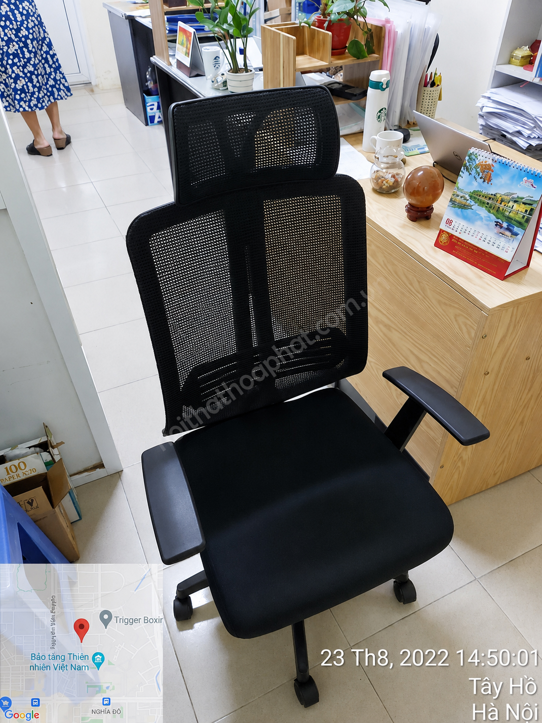 Ghế lưới GL322 Hòa Phát hình ảnh thực tế